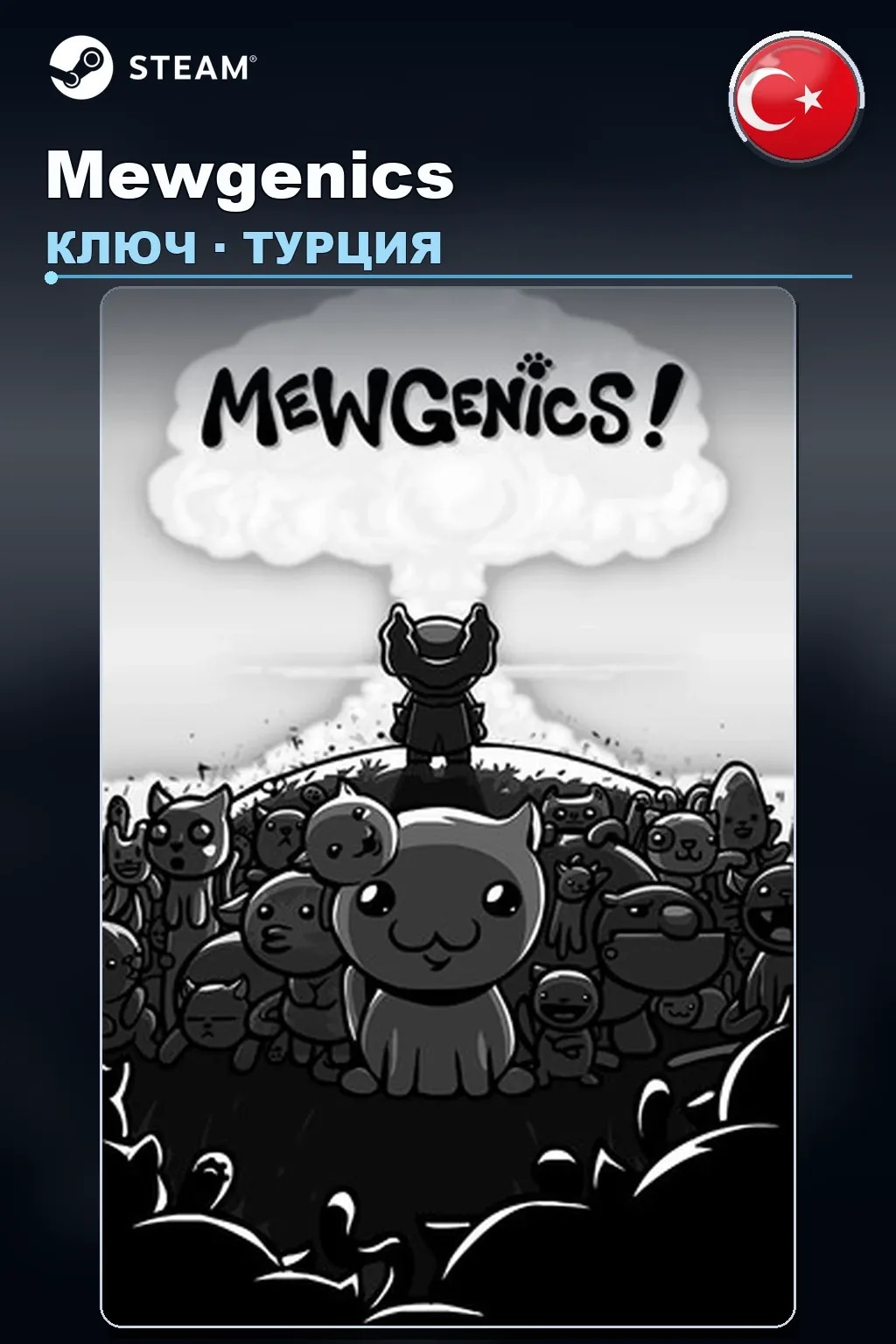 Mewgenics — Турция